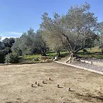 D'exception Avec Piscine Et Jardin Villa Saint-Gely-du-Fesc